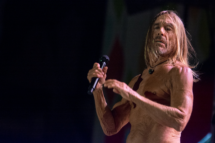 Iggy Pop @ Suikerrock, picture 9, photographed by Erwin Evrard - FrontView Magazine