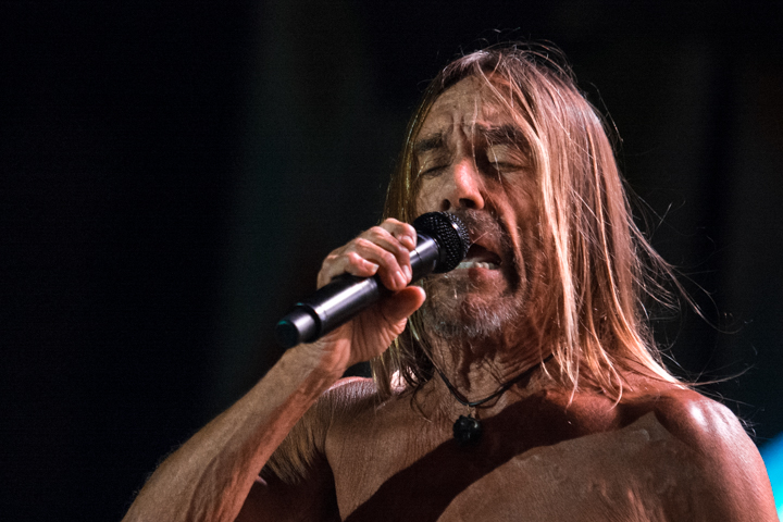 Iggy Pop @ Suikerrock, picture 10, photographed by Erwin Evrard - FrontView Magazine