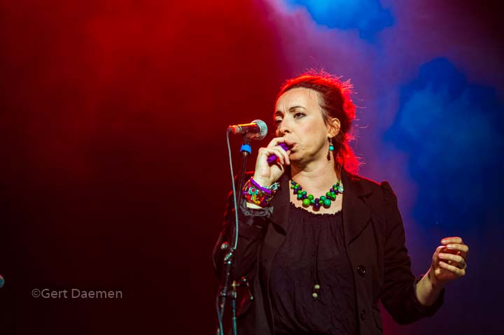 Luca Basanese @ Dranouter 2017, foto 8, foto's door Gert Daemen - FrontView Magazine