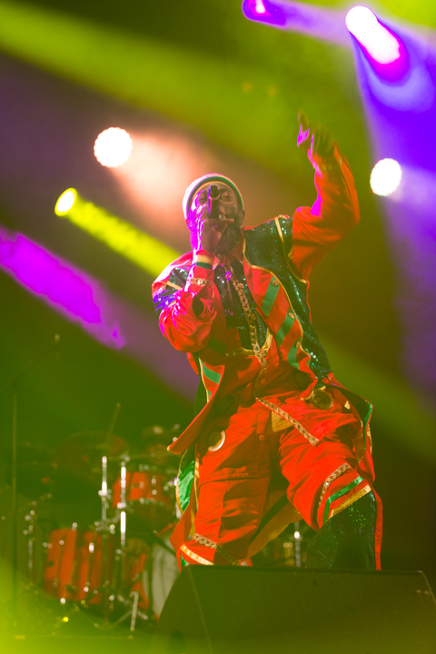 Capleton @ Reggae Geel 2017, picture 11, photographed by Stef Dierckx - FrontView Magazine