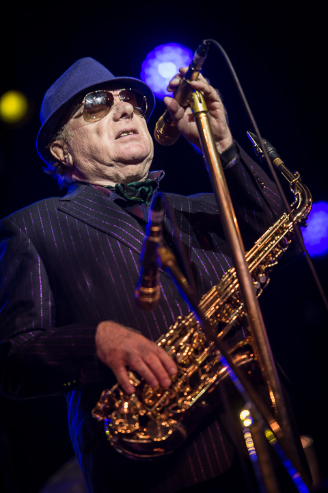 Van Morrison @ Jazz Middelheim 2017, picture 4, photographed by Jan van Hecke - FrontView Magazine