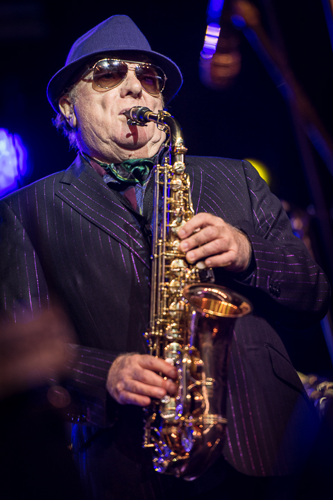 Van Morrison @ Jazz Middelheim 2017, picture 6, photographed by Jan van Hecke - FrontView Magazine