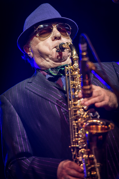 Van Morrison @ Jazz Middelheim 2017, picture 9, photographed by Jan van Hecke - FrontView Magazine