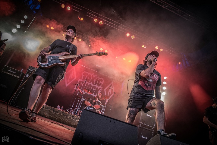 Toxic Shock @ Ieper Hardcore Fest, picture 28, photographed by Luc Luyten - FrontView Magazine
