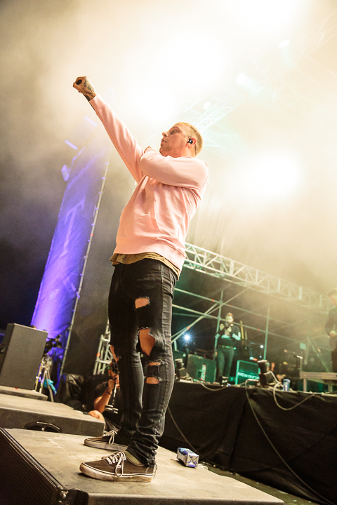 Architects @ Summer Breeze 2017, picture 4, photographed by Dorien Goetschalckx - FrontView Magazine