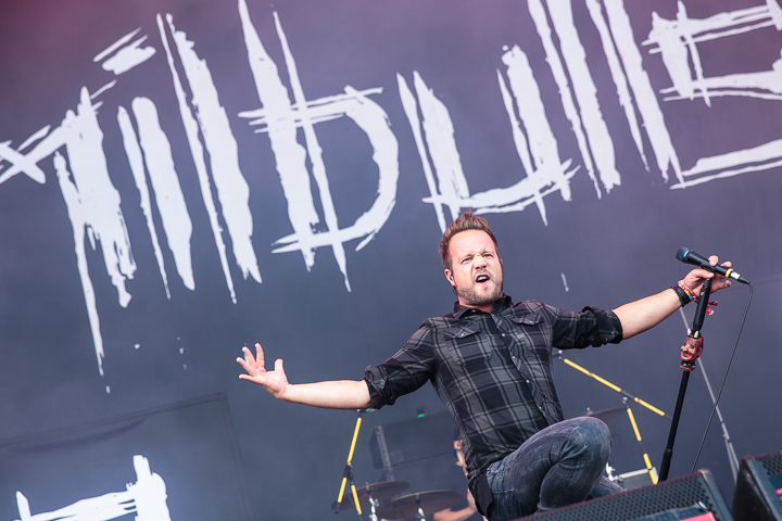 Emil Bulls @ Summer Breeze 2017, picture 4, photographed by Dorien Goetschalckx - FrontView Magazine