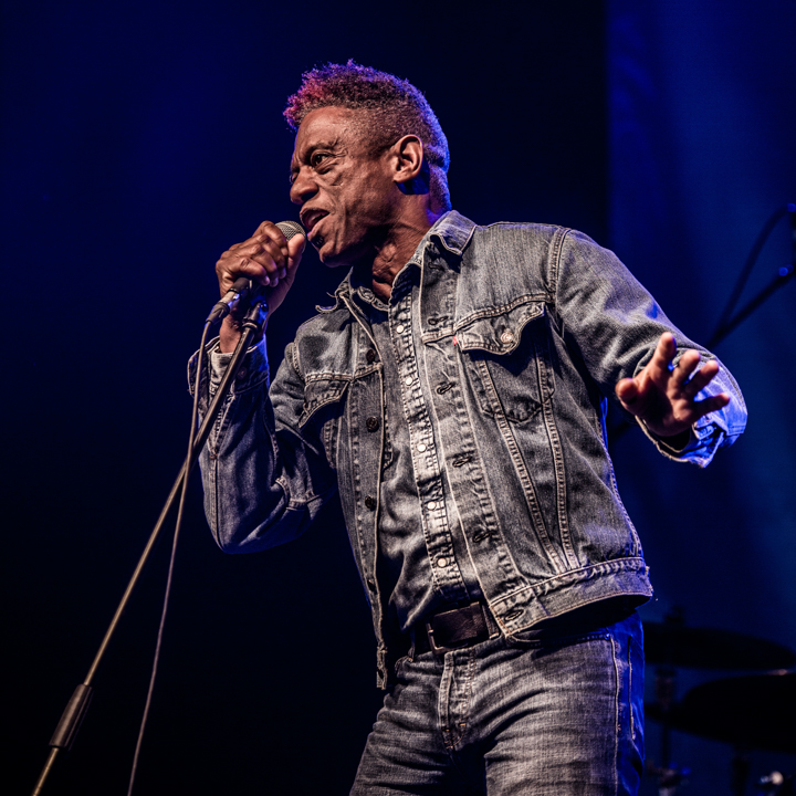 Swing Wespelaar 2017 free blues for the people, picture 29, photographed by Raf Degeest - FrontView Magazine