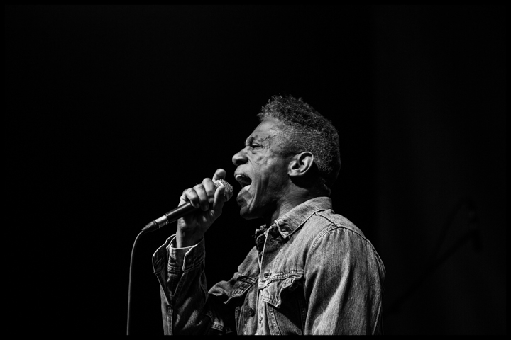 Swing Wespelaar 2017 free blues for the people, picture 30, photographed by Raf Degeest - FrontView Magazine