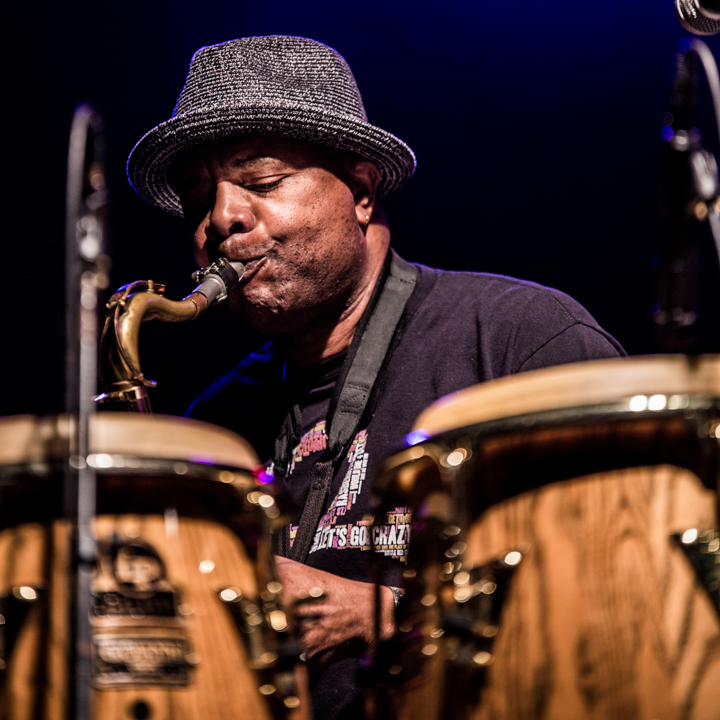 Swing Wespelaar 2017 free blues for the people, picture 40, photographed by Raf Degeest - FrontView Magazine