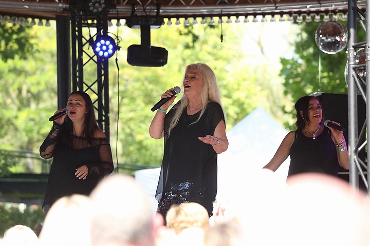 Yesterdayland 2017 Yesterdayland 2017, picture 5, photographed by Martin Lieckens - FrontView Magazine