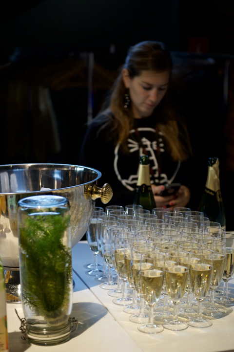 FFO LADIES NIGHT 2017 @ kinepolis Oostende, picture 7, photographed by Bart Baevegems - FrontView Magazine
