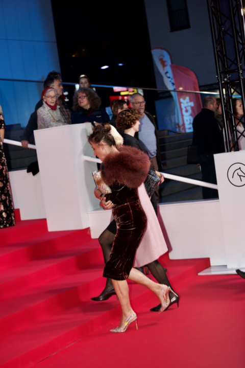 Film Fest Gent 2017 Openingsavond Rode Loper @ Kinepolis Gent, picture 97, photographed by Bart Baevegems - FrontView Magazine
