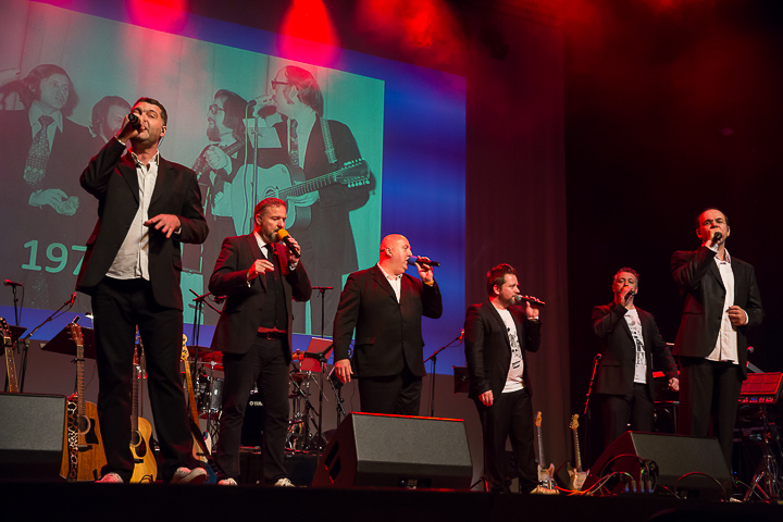 Ode aan 65 jaar De Strangers @ De Roma, picture 4, photographed by Marc Verdonck - FrontView Magazine