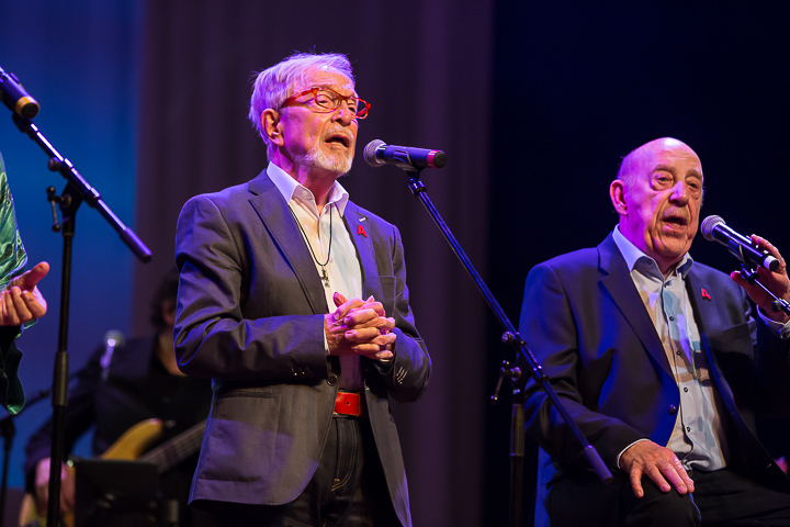 Ode aan 65 jaar De Strangers @ De Roma, picture 7, photographed by Marc Verdonck - FrontView Magazine