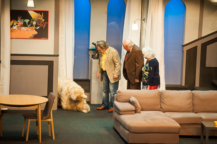 Zij heeft een kat en ik nen hond @ echt Antwaarps teater, foto 57, foto's door Goele Bormans - FrontView Magazine