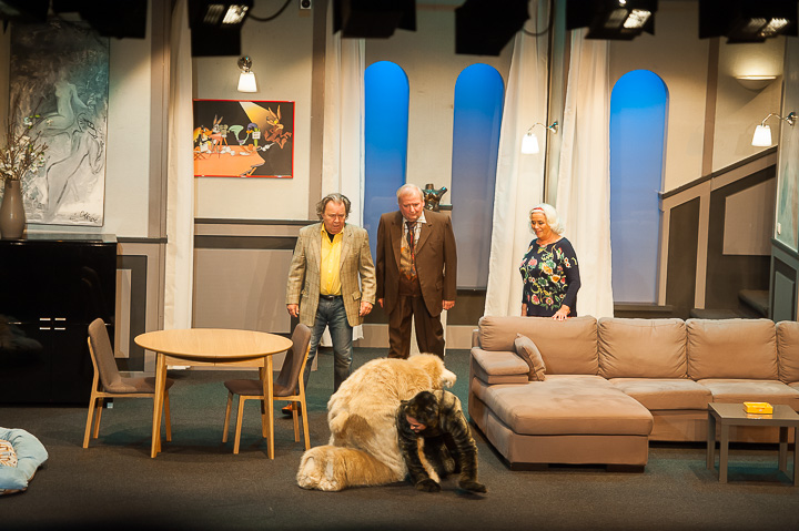 Zij heeft een kat en ik nen hond @ echt Antwaarps teater, foto 59, foto's door Goele Bormans - FrontView Magazine