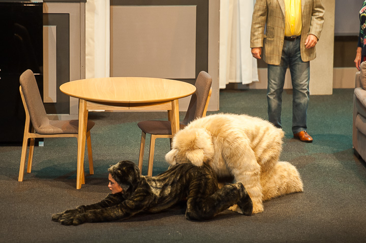 Zij heeft een kat en ik nen hond @ echt Antwaarps teater, foto 61, foto's door Goele Bormans - FrontView Magazine