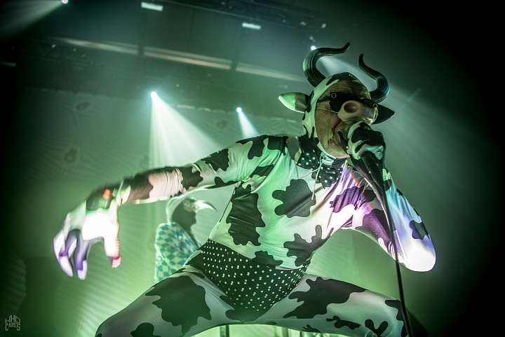 The Residents @ Depot Leuven, picture 7, photographed by Luc Luyten - FrontView Magazine