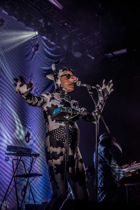 The Residents @ Depot Leuven, picture 21, photographed by Luc Luyten - FrontView Magazine