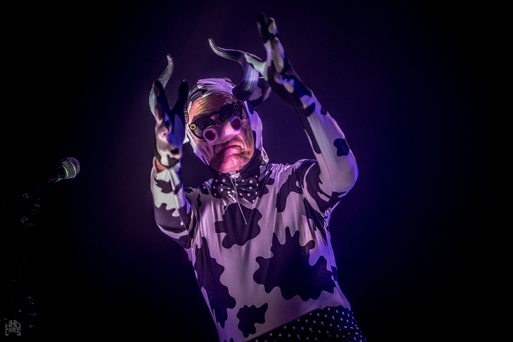 The Residents @ Depot Leuven, picture 22, photographed by Luc Luyten - FrontView Magazine