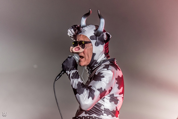 The Residents @ Depot Leuven, picture 32, photographed by Luc Luyten - FrontView Magazine