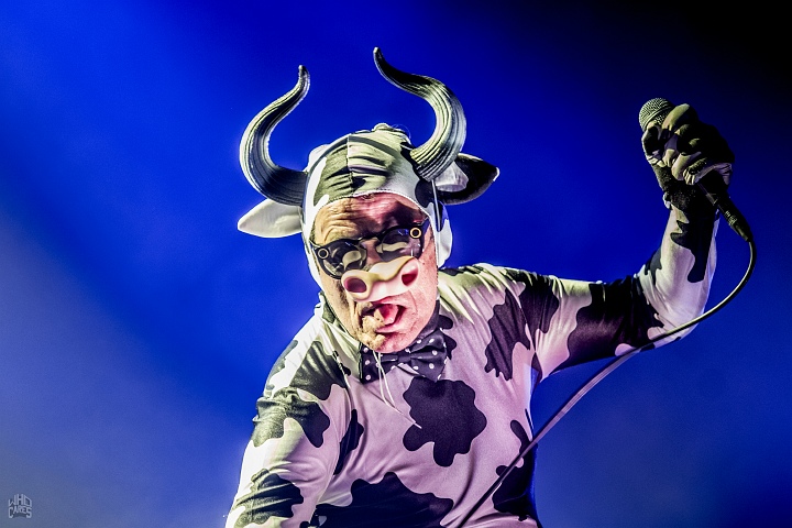 The Residents @ Depot Leuven, picture 42, photographed by Luc Luyten - FrontView Magazine