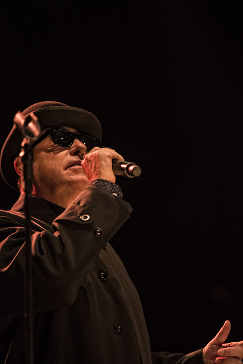 Madness @ De Roma, picture 7, photographed by Jef Peeters - FrontView Magazine