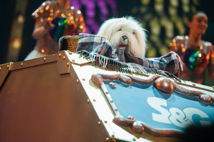 De Grote Sinterklaasshow 2017 @ Sportpaleis, foto 54, foto's door Dimitri Vanlommel - FrontView Magazine
