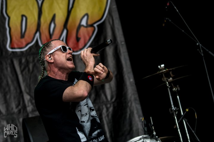 Dog Eat Dog @ Rock voor Specials, picture 3, photographed by Luc Luyten - FrontView Magazine