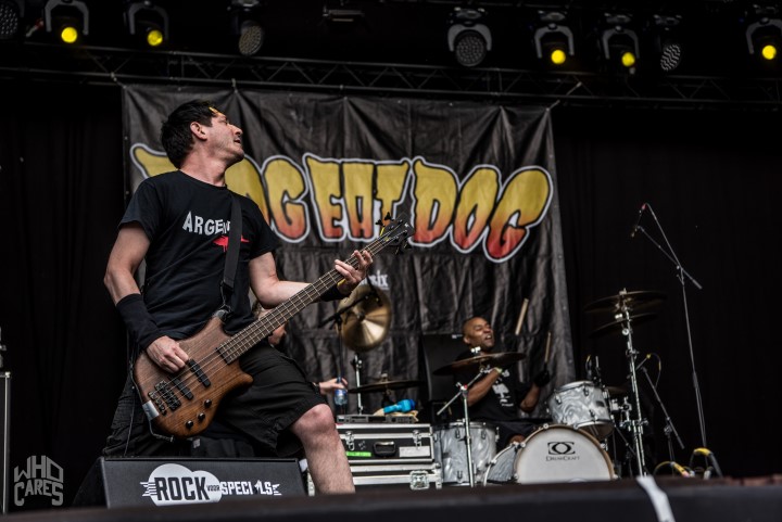 Dog Eat Dog @ Rock voor Specials, picture 32, photographed by Luc Luyten - FrontView Magazine