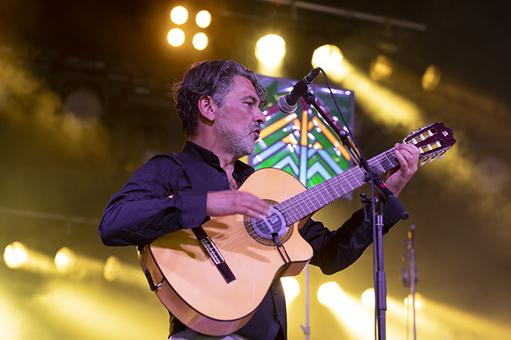 Les Negresses vertes @ Dranouter, picture 5, photographed by Frank Lambrechts - FrontView Magazine