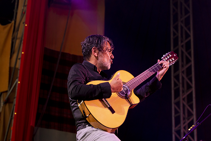 Les Negresses vertes @ Dranouter, picture 7, photographed by Frank Lambrechts - FrontView Magazine