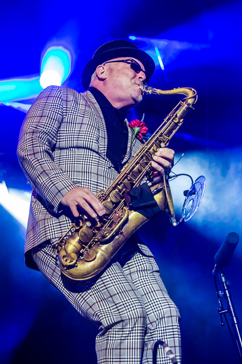 Madness @ Nostalgie Beach Festival 2018, picture 9, photographed by Marc Verdonck - FrontView Magazine