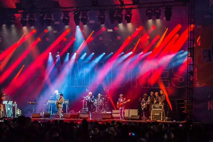Madness @ Nostalgie Beach Festival 2018, picture 16, photographed by Marc Verdonck - FrontView Magazine