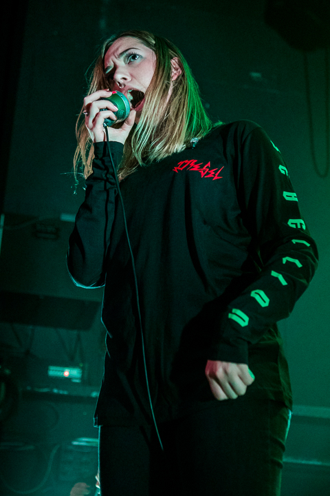 Marmozets @ 013, picture 19, photographed by Erwin Evrard - FrontView Magazine