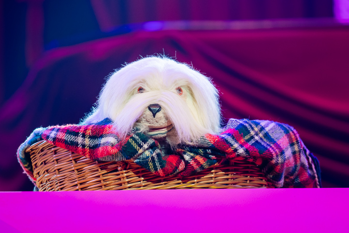 De Grote Sinterklaasshow 2018 @ Sportpaleis, foto 23, foto's door Dimitri Vanlommel - FrontView Magazine