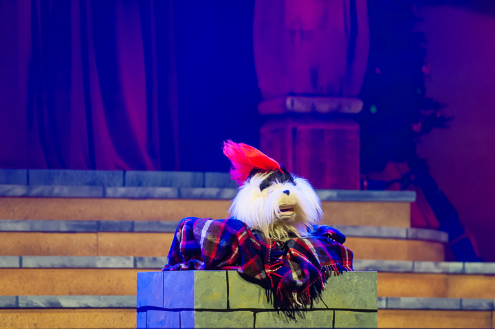 Samson & Gert Kerstshow 2018 @ Plospsa Theater, foto 32, foto's door Goele Bormans - FrontView Magazine