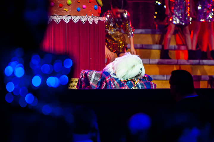 Samson & Gert Kerstshow 2018 @ Plospsa Theater, foto 79, foto's door Goele Bormans - FrontView Magazine