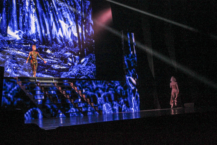 Flatley- Lord of the dance-Dangerous Games @ Ethias Theater, picture 4, photographed by Hilde  Hermans - FrontView Magazine