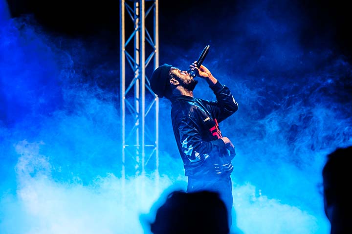 DVTCH Norris @ Wetlands, picture 6, photographed by Gert Daemen - FrontView Magazine