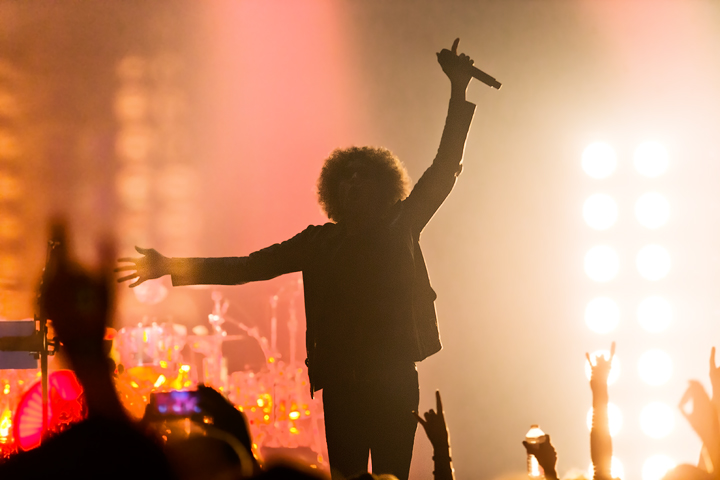 Alice in Chains @ Ancienne Belgique, picture 8, photographed by Magali Decamps - FrontView Magazine