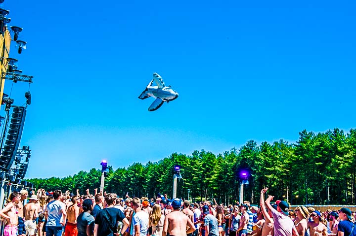 Sunrise (Zaterdag) @ Lilse Bergen, foto 13, foto's door Gert Daemen - FrontView Magazine