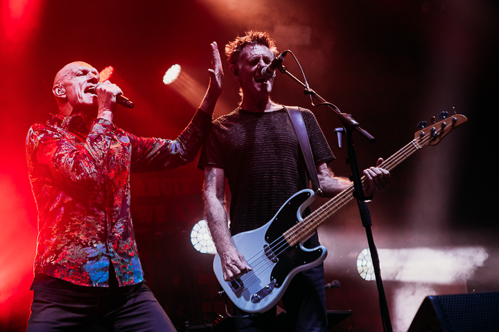 Midnight Oil @ Rock Zottegem, picture 4, photographed by Dorien Goetschalckx - FrontView Magazine