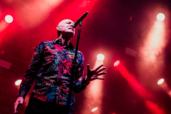 Midnight Oil @ Rock Zottegem, picture 6, photographed by Dorien Goetschalckx - FrontView Magazine