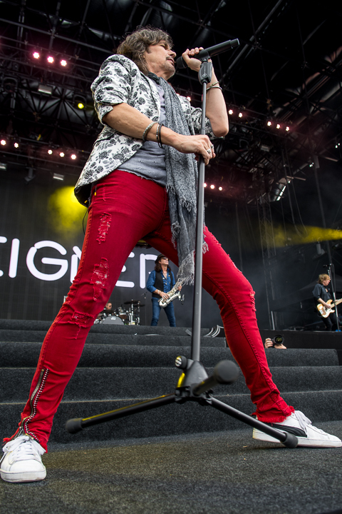 Foreigner @ Bospop, foto 11, foto's door Erwin Evrard - FrontView Magazine