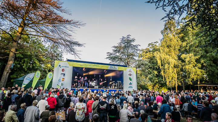 Coco Jr. & The All Stars @ Engie Parkies Sint-Niklaas, picture 23, photographed by Danny Wagemans - FrontView Magazine