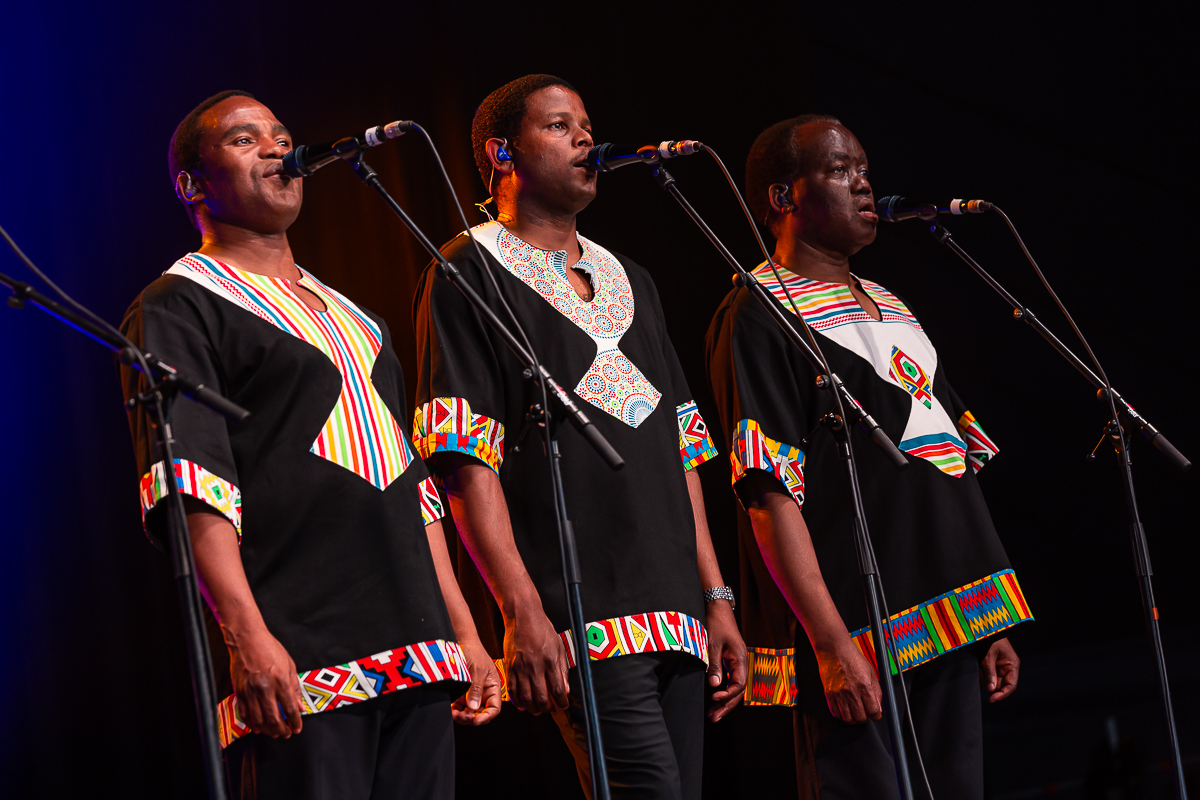 Ladysmith Black Mambazo @ Dranouter, picture 5, photographed by Chris Lippens - FrontView Magazine