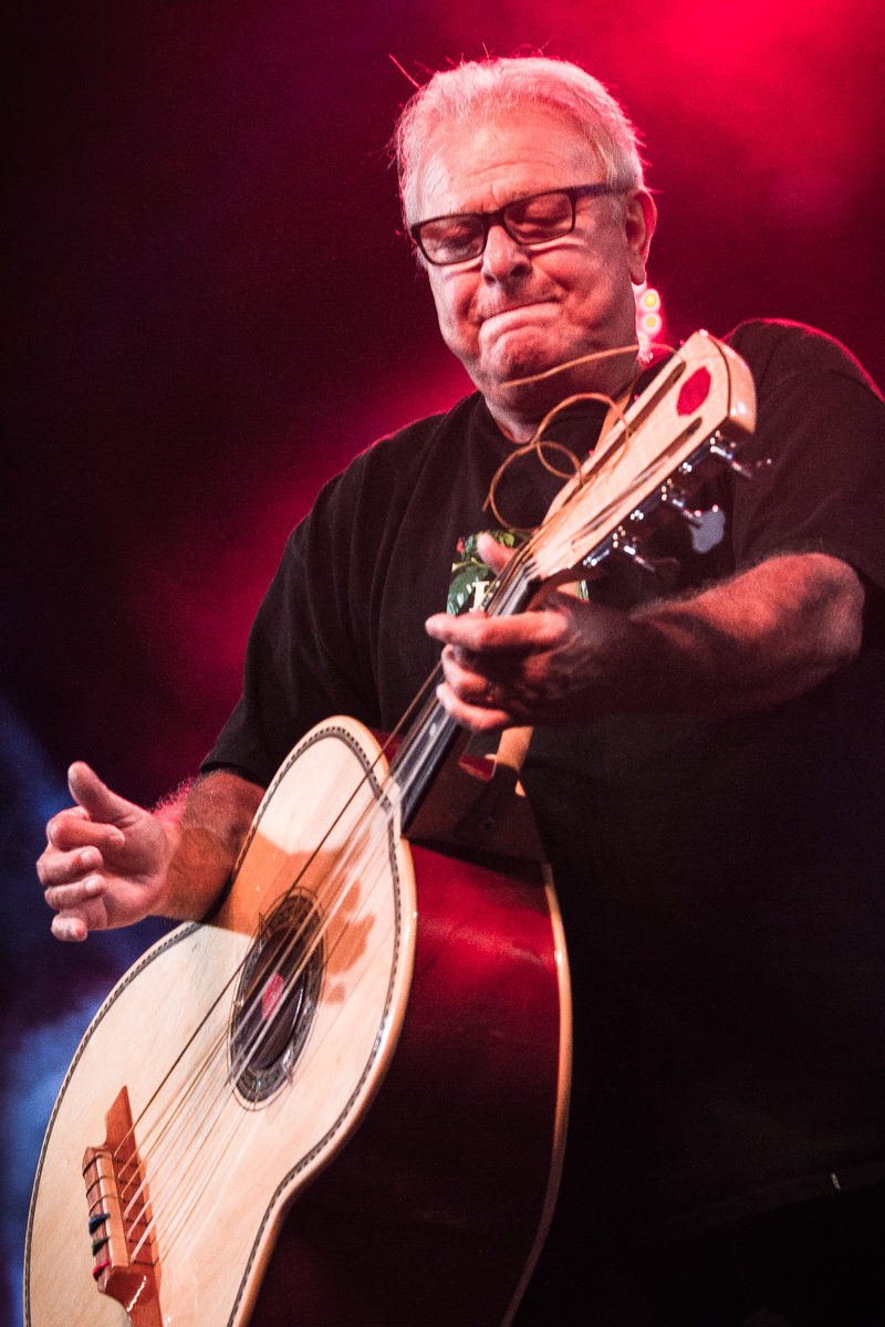 Los Lobos @ OLT Rivierenhof, picture 3, photographed by Tom Stessens - FrontView Magazine