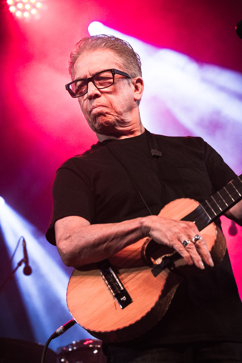 Los Lobos @ OLT Rivierenhof, picture 14, photographed by Tom Stessens - FrontView Magazine