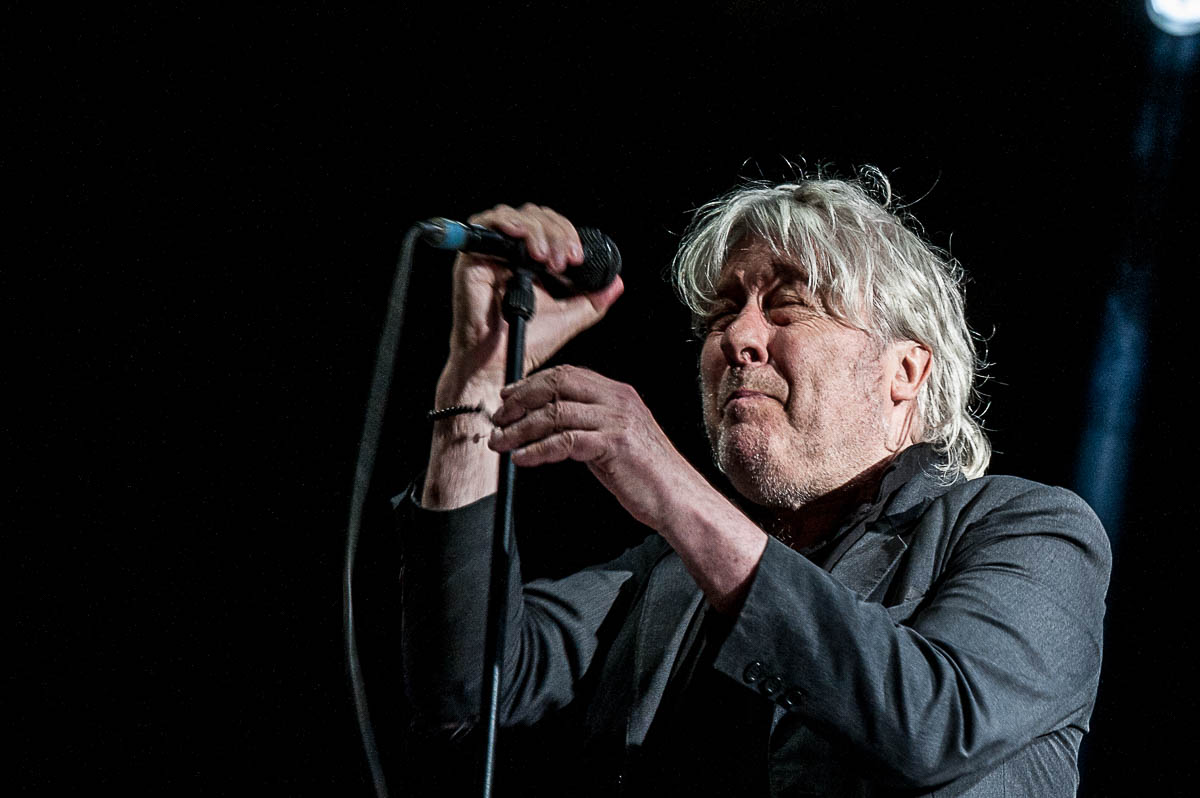 Arno @ Lokerse Feesten, picture 3, photographed by Gert Daemen - FrontView Magazine